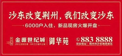 今日关注阳春爆料最新消息,今日关注热点事件深度解析